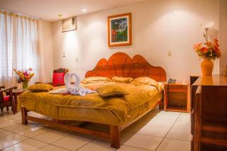 Hotel Sol del Oriente Iquitos - Iquitos - 1