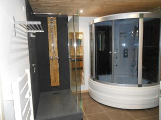 Stone house with views of the Canigou! - 1