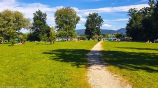 Urlaub am Wallersee - Seekirchen am Wallersee - 0