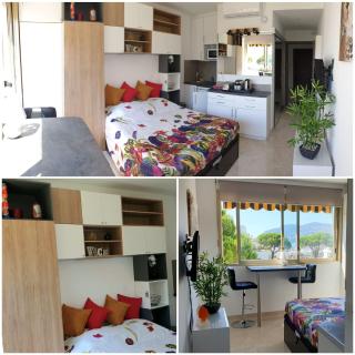 Garden and beach sea view apartment Cannes - Mandelieu La Napoule - 9