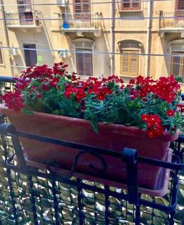 Via Aurispa 60 - Palermo - 7