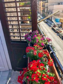 Via Aurispa 60 - Palermo - 9