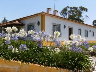 Quinta Da Torre - Óbidos Country House - Óbidos - 7