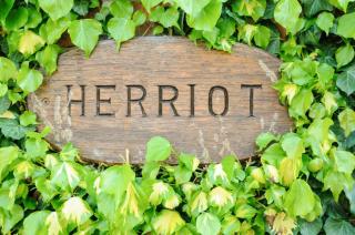 The Poplars Rooms & Cottages - Thirsk - 1