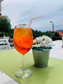 Family Hotel Friends Villa - 7