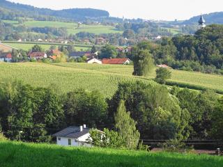 Ferienwohnung Hofstatt - Lalling - 5