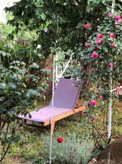 Villa Elita - Bela Crkva - 5