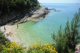 Apartment Ljubica - 2