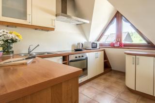 INDYGO Apartamenty Panoramiczne Kościelisko APARTZAKOP - 1