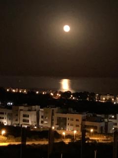MARBELLA,ESTEPONA,SELWO HILLS,Sea and Sun Hills,NEW GOLDEN MILES - 8