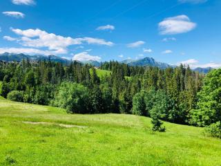 Tatrzańska Polana 5F - Zakopane - 0
