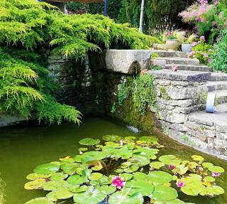 Hôtel-Restaurant Ricordeau - 1