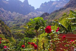 casa xoxo - Ribeira Grande - 1