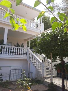 Cozy flat in Nea Makri - 5