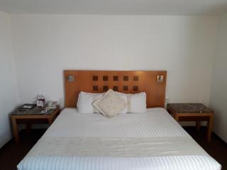 Hotel Napoles - San Luis Potosí - 7