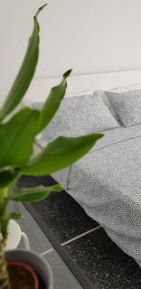 San Bastian Rooms - Celle Ligure - 5