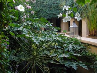 Dar Zahia - Taroudant - 9