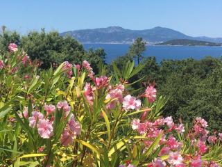 Villa PLEIN SOLEIL- Plage d'Argent à 150 m - 150 m from beach - Coti-Chiavari - 1