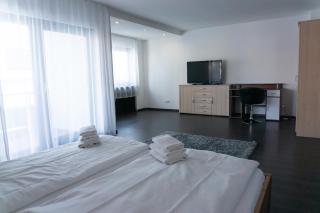 Eisberg Gästehaus & De Luxe Appartements - Friesenheim - 4