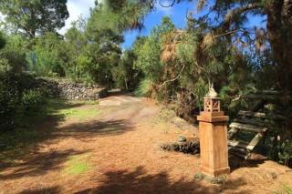 Villa Rural Faldas del Teide - Icod de los Vinos - 3