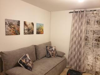 Neu Gemütliche Ferienhaus mit 3 Ferienwohnungen "Max " , " Leonore " und "Beatrice" - Hallenberg - 3