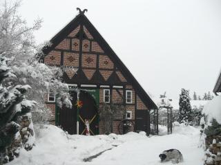 de lüt Ferienhof Jameln - Jameln - 1