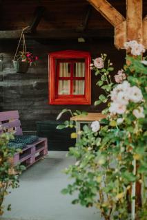 Kuća za odmor Lang - 7