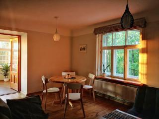 Castle Park Apartment with sunset veranda - Cēsis - 2