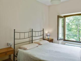 unique holiday experience in the greenery - Verbania - 8