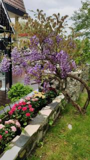 B&B Hotel Elselina - Schiedam - 1