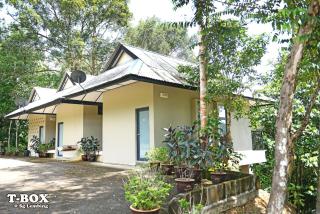 T-Box Sungai Lembing - Sungai Lembing - 3