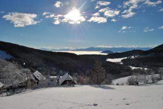 Schlintl-Hof - Liebenfels - 5