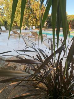 Residence Paolina - Calvi - 7