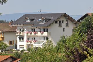 Pension / FW Gästehaus Stern - Bodenmais - 0