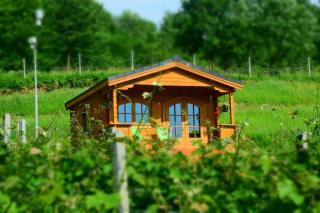 Domek na Winnicy - Dąbrówka Szczepanowska - 8