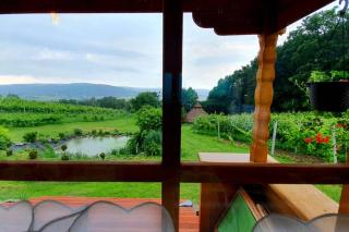 Domek na Winnicy - 4