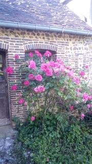 Domaine de Gentilly - Saint-Maurice-lès-Charencey - 4