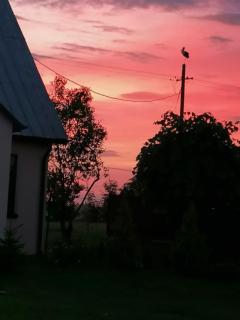 Dom i Pokoje Gościnne Zaruby Sejny - Sejny - 3
