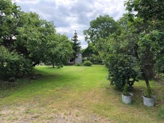 Domek całoroczny blisko lasu i morza na urokliwej działce 4300 m2 - 6