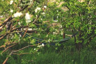 Noosh guesthouse - Ashnak - 8