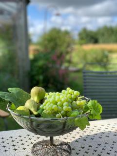 Mariegaardens Gæstehuse - 1