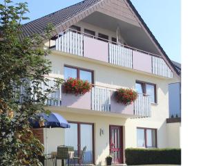Ferienwohnung Haus Wannenberg - Tengen - 0