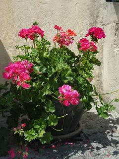 LE CLOS DES COLVERTS - 9