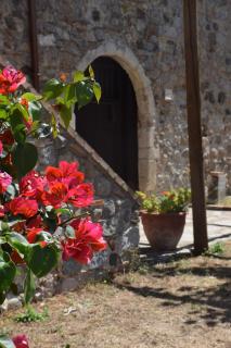 Agriturismo Fellino - 2