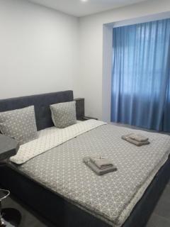 Luxury Central Apartment - Uschhorod - 8
