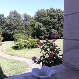 La Violiere - Rouziers-de-Touraine - 3