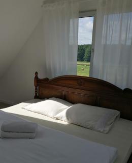 Domki nad stawem - Konarzewo - 5