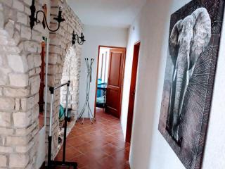 Apartment Olive Garden - Vodnjan - 3