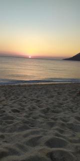I due Leoni bed and breakfast - Laureana di Borrello - 4