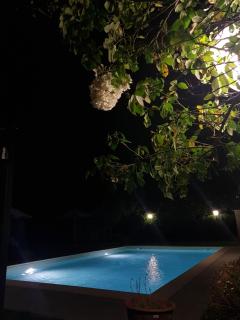 Appartamenti Ca'Melia - Sarzana - 5